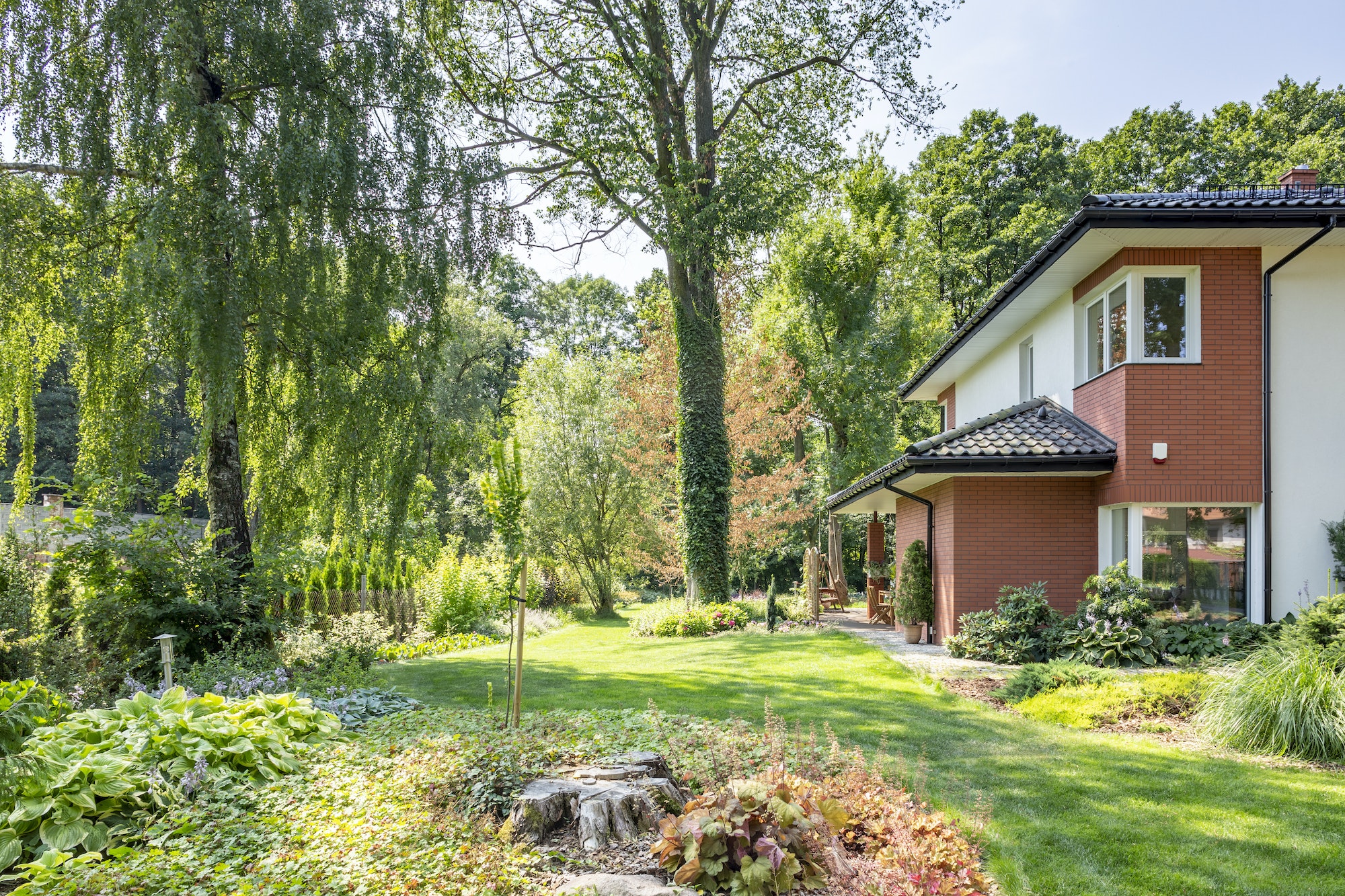 Beautiful garden with trees and shrubs next to a big house. Real