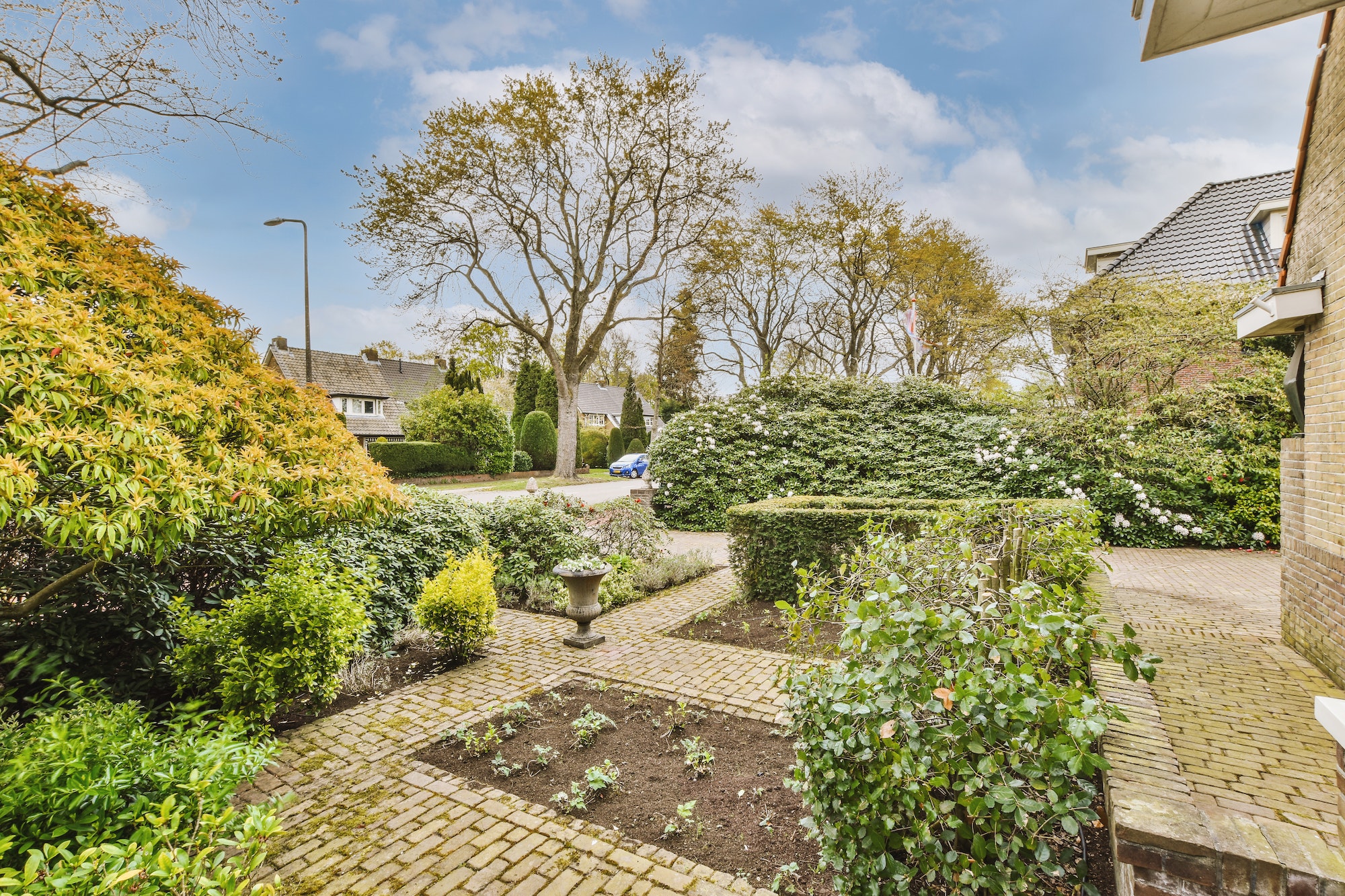 View of trees, shrubs and neighboring houses